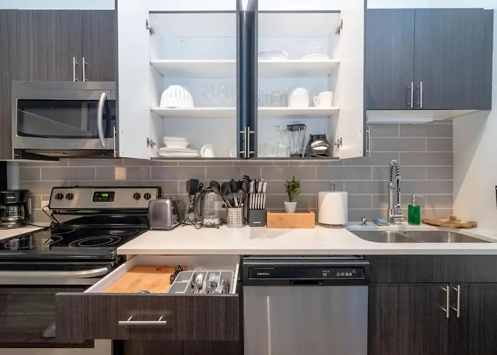 Perfect For Couple South Loop Near Mccormick, Aquarium & Michigan